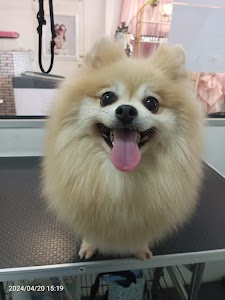 Happipaw Pet Care place picture
