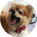 Christine Wong profile picture