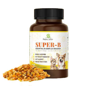 Super-B